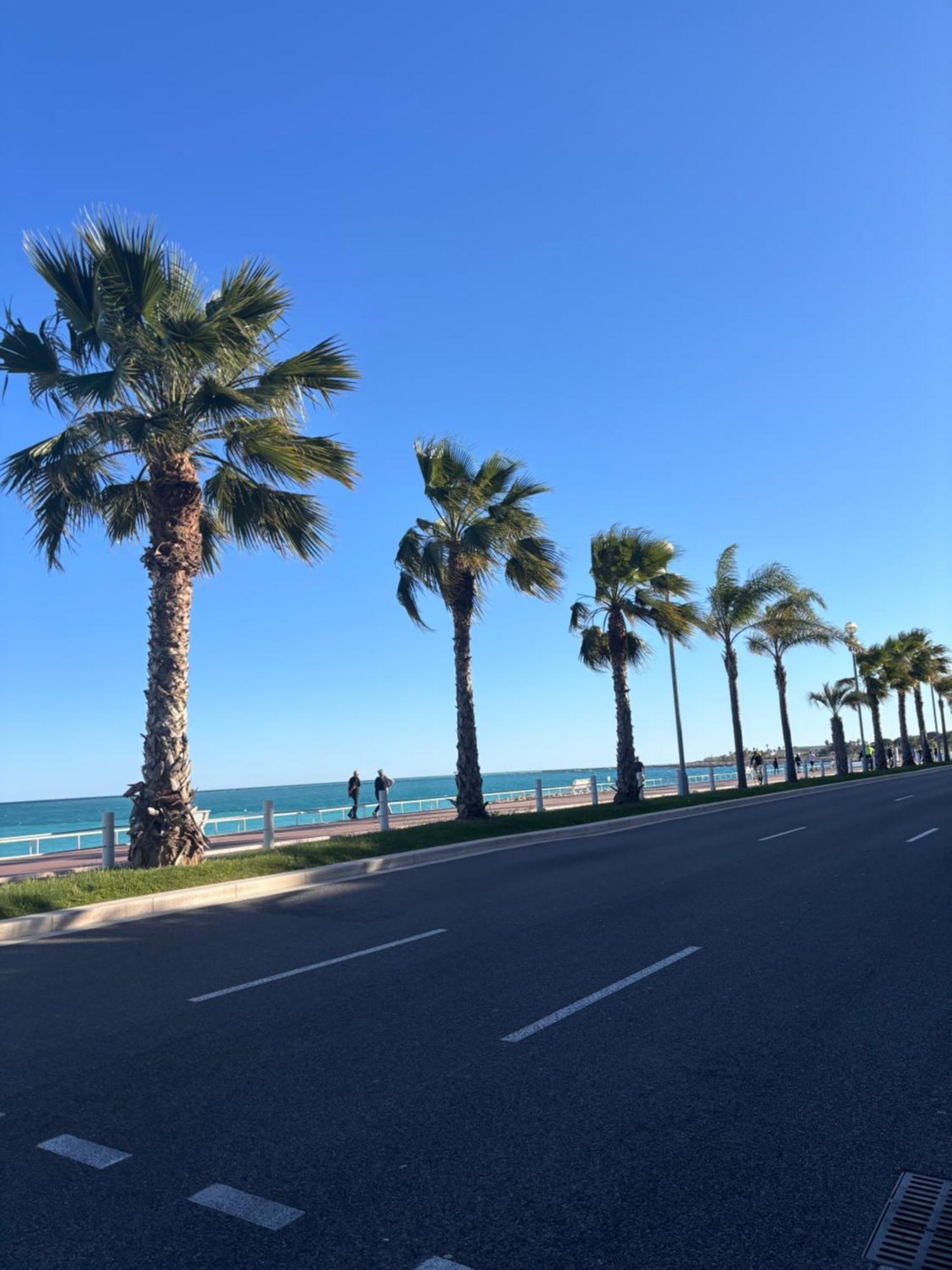Grand Studio De 30 M2 Promenade Des Anglais Ницца Экстерьер фото